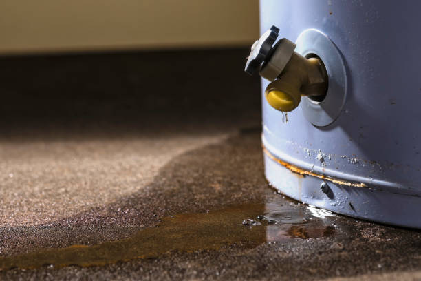Best Water damage restoration process  in Warrensville Heights, OH
