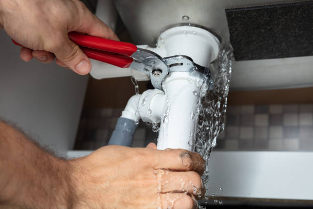 Best Local water damage restoration  in Warrensville Heights, OH