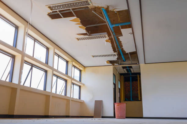 Best Sewage cleanup and water damage restoration  in Warrensville Heights, OH
