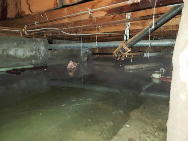 Best Water damage cleanup near me  in Warrensville Heights, OH