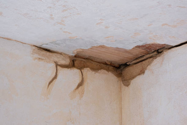 Reliable Warrensville Heights, OH Water damage restoration Solutions