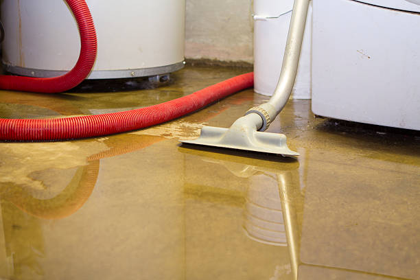 Best Water damage restoration cost  in Warrensville Heights, OH