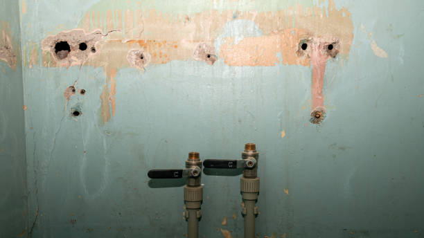 Best Water damage mitigation services  in Warrensville Heights, OH