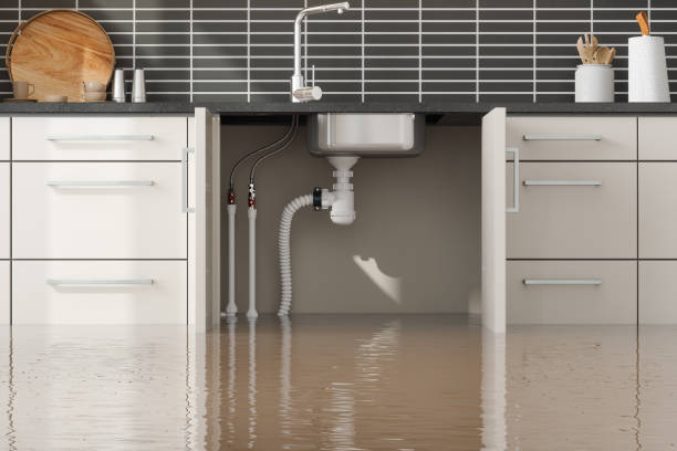 Best Flood damage cleanup  in Warrensville Heights, OH