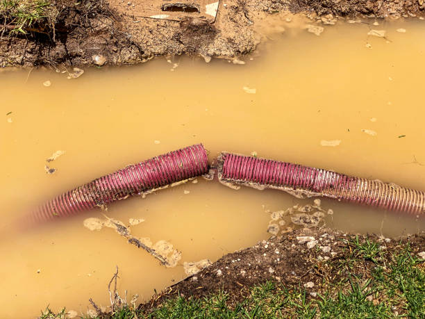 Best Residential water damage restoration  in Warrensville Heights, OH
