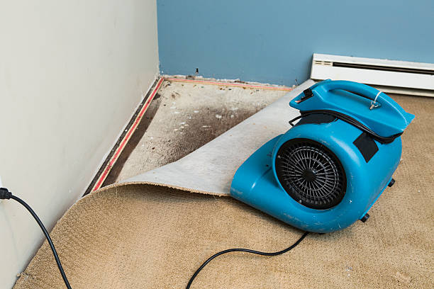 Best Flood restoration services  in Warrensville Heights, OH